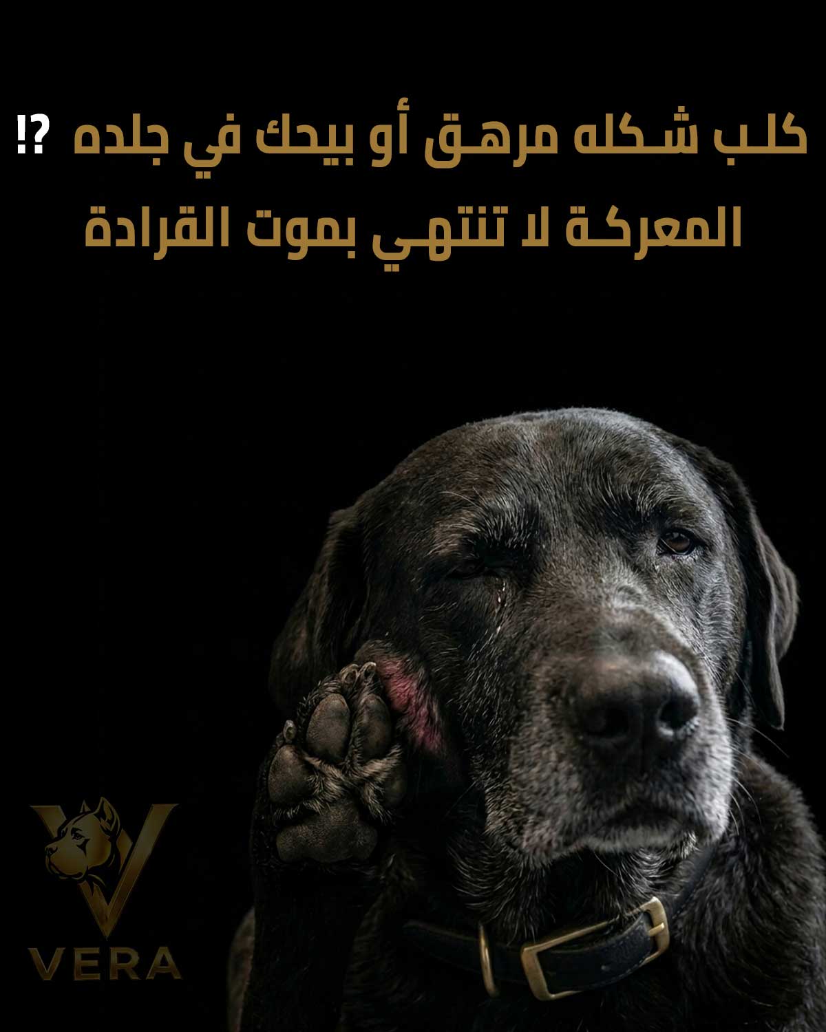 المعركة لا تنتهي بموت القرادة